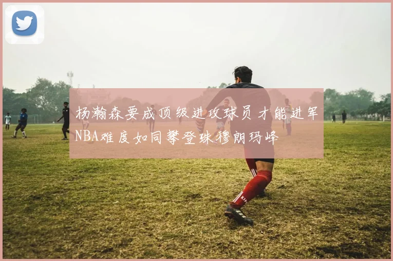 杨瀚森要成顶级进攻球员才能进军NBA难度如同攀登珠穆朗玛峰